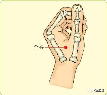肘部卧推疼痛是什么原因,网球肘引起肘关节疼痛