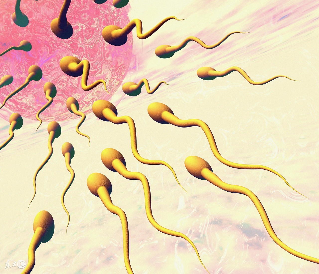 死精无精有什么症状,男子死精症状