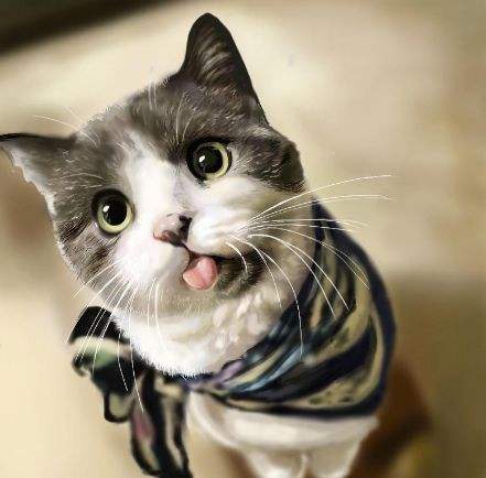 人得了猫癣如何预防猫癣扩散,猫癣在治疗的过程中传染吗