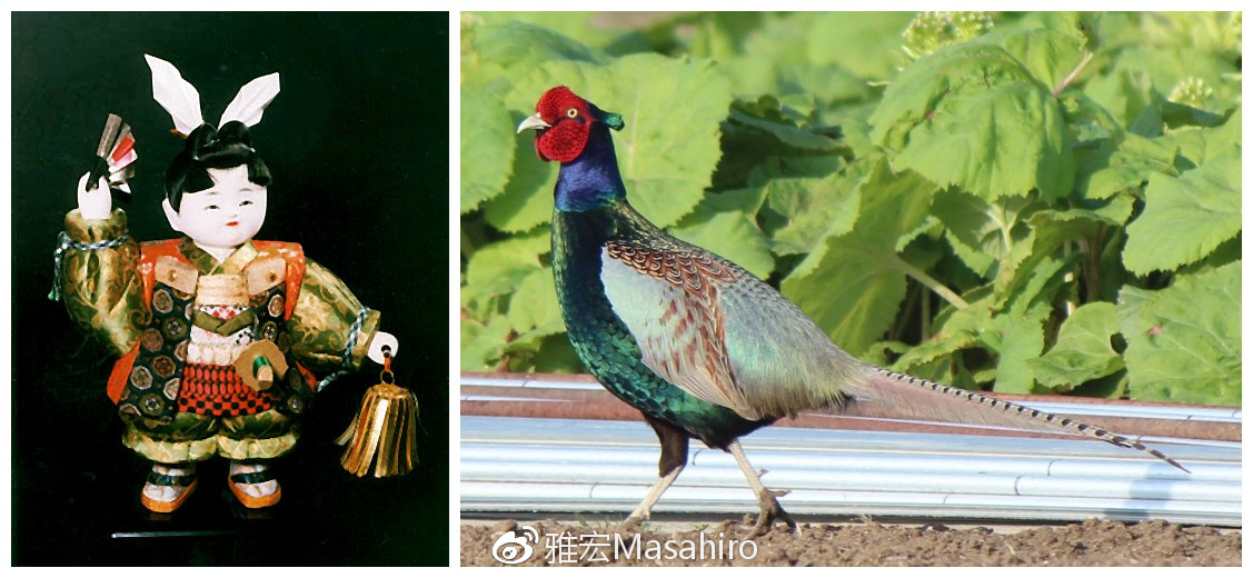 光看队名,我们就差了日本足球很多年