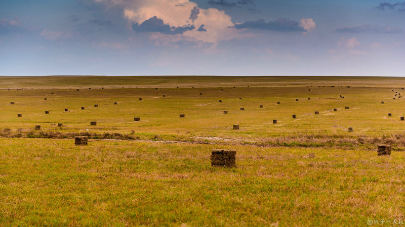 草原金秋美景图片,蓝天白云大草原的美图