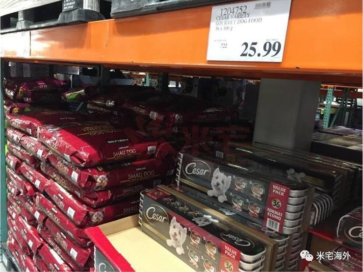 在温哥华生活有多惬意,在温哥华生活视频