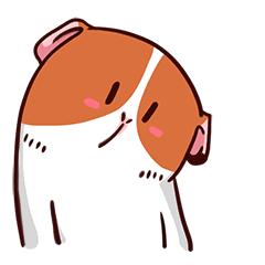 只需20块钱就能去黑头,平价去黑头神器