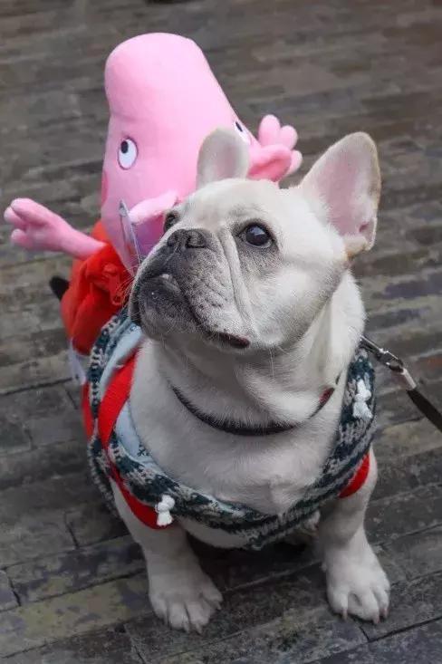 小巧便捷的佳能相机推荐,佳能m系列入门微单哪个好