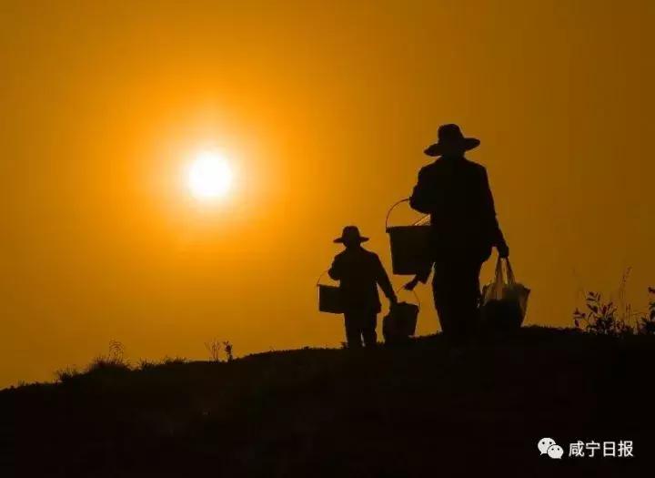 咸宁崇阳十大景点,湖北咸宁崇阳有什么风景