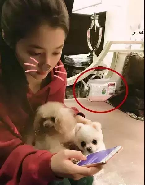 推荐几款非常好用的实用好物,明星都在用的国货好物推荐