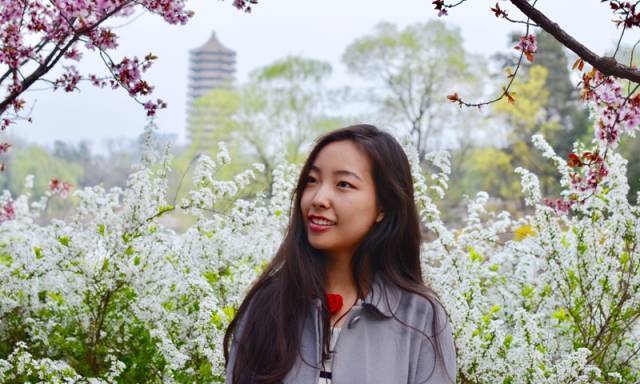 北大元培学院毕业生现状,北京大学元培学院录取的学生