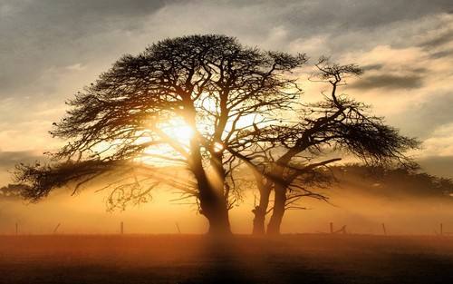 数钱会缓解疼痛,数钱可以解决头疼