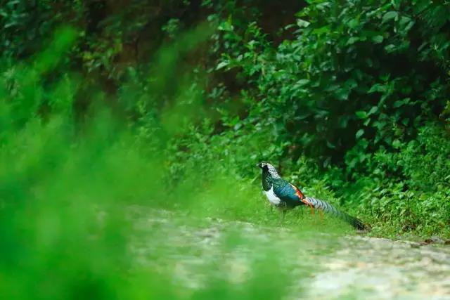 一个90后摄影师,一个90后的摄影师