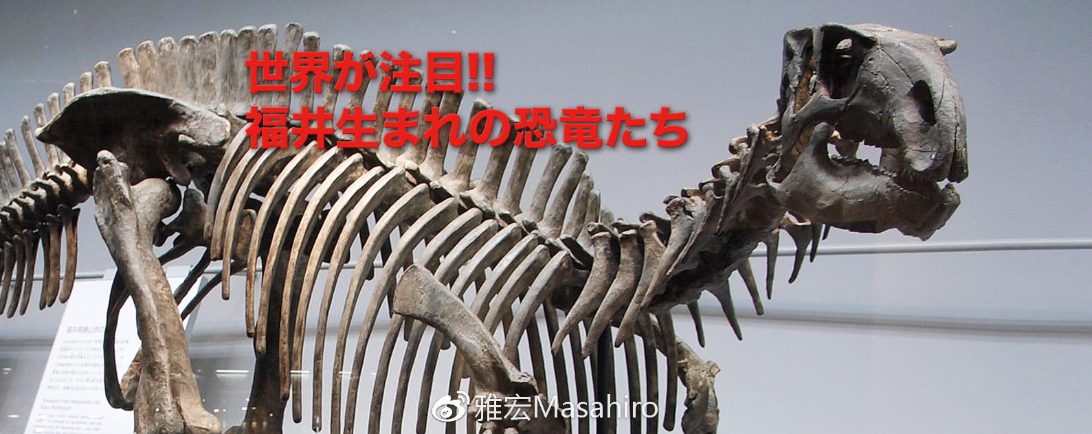 光看队名,我们就差了日本足球很多年