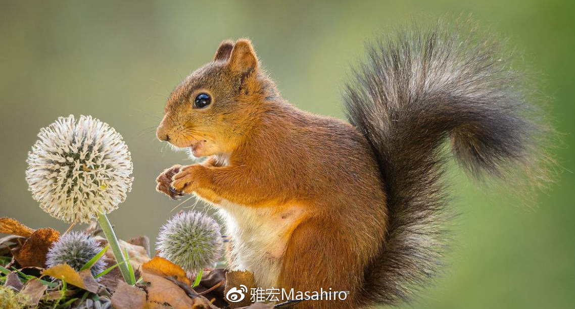 光看队名,我们就差了日本足球很多年