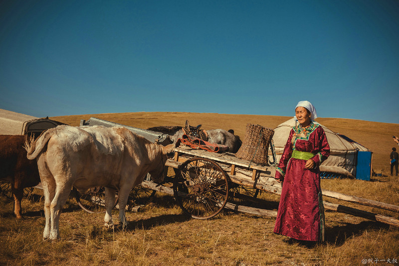 草原金秋美景图片,蓝天白云大草原的美图