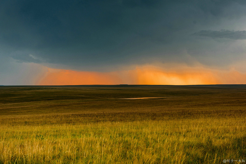 草原金秋美景图片,蓝天白云大草原的美图
