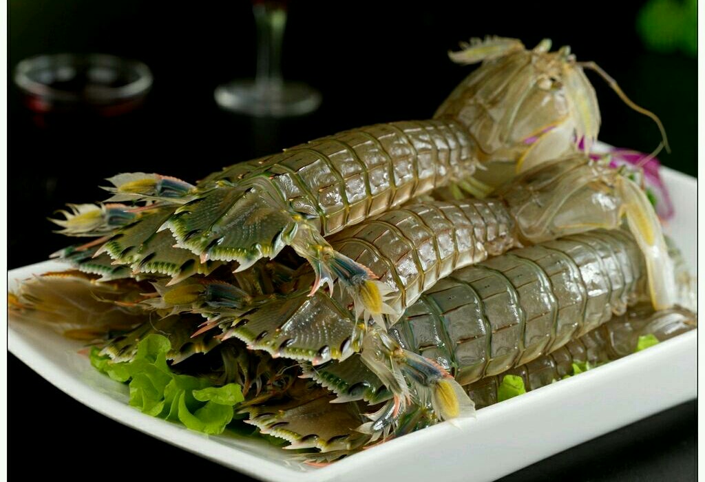 黄海之滨辽宁丹东,壮哉大辽宁