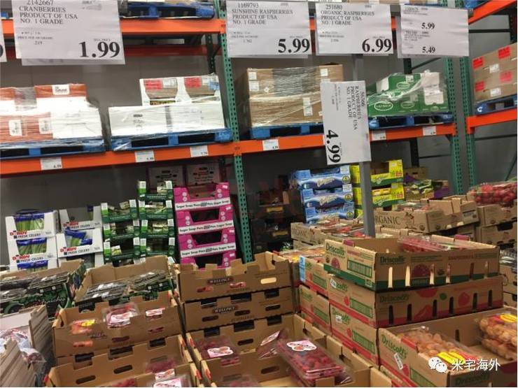 在温哥华生活有多惬意,在温哥华生活视频