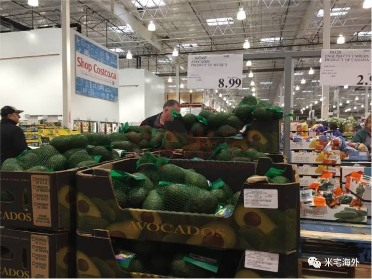 在温哥华生活有多惬意,在温哥华生活视频