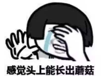 云溪00后“球星”都在这里!海量照片带你回顾云溪区2017年中小学生球类运动会!