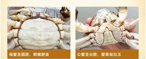 市场海鲜怎么买,挑选新鲜海鲜的正确方法