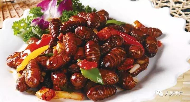 奇特的昆虫美食,史上最恶心的昆虫美食