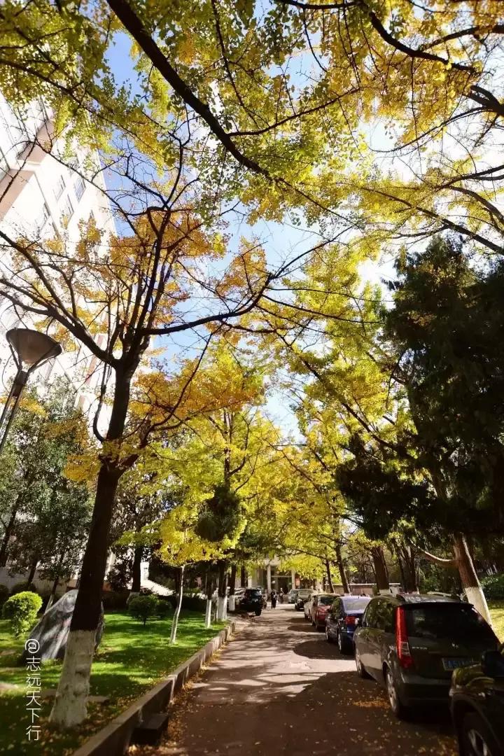 最美高校合集,最美211云大