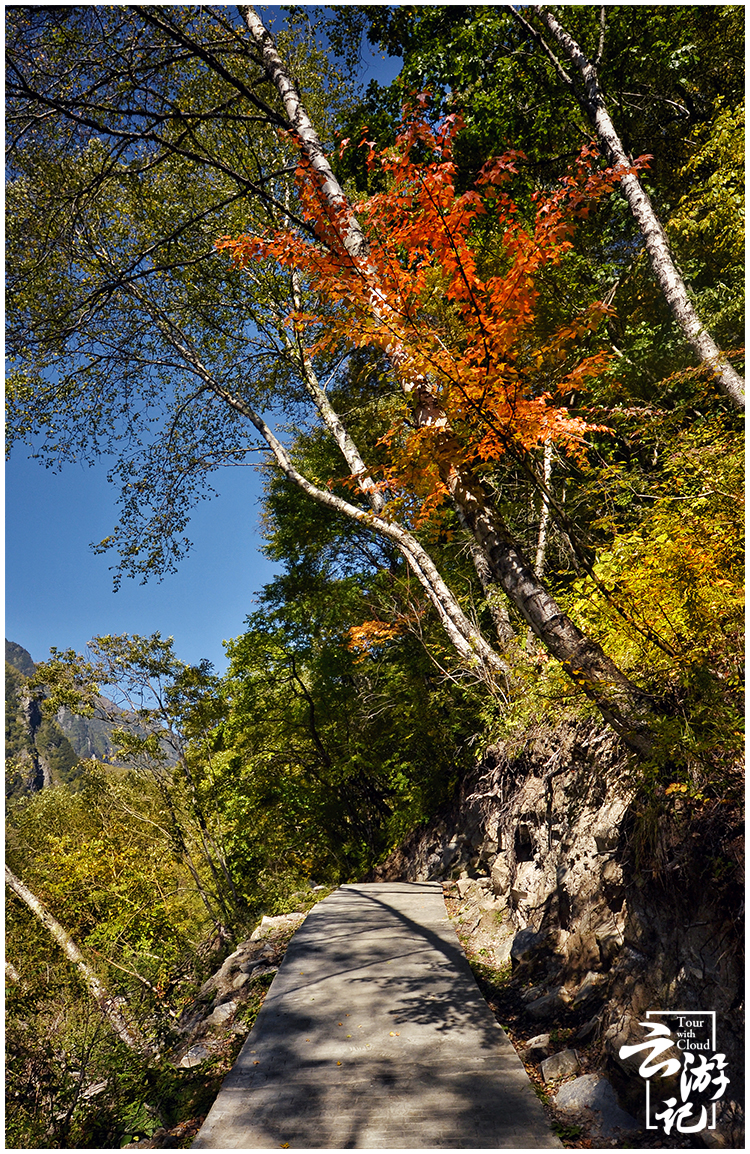 川西红叶5日自驾游,川西松坪沟旅行