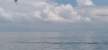 电脑图片处理工具都有哪些,电脑上简单好用的图片处理工具