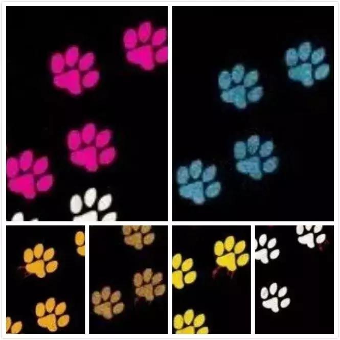 那些不为人知的故事海报,这些海报诠释了我的诗和远方