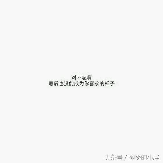 网易云热评墙NO.55