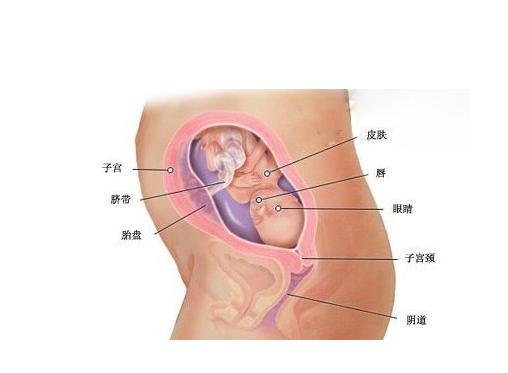 宫高偏低说明什么,宫高偏高的原因有哪些