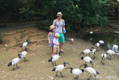 日本冲绳亲子游自由行攻略,冲绳亲子游视频