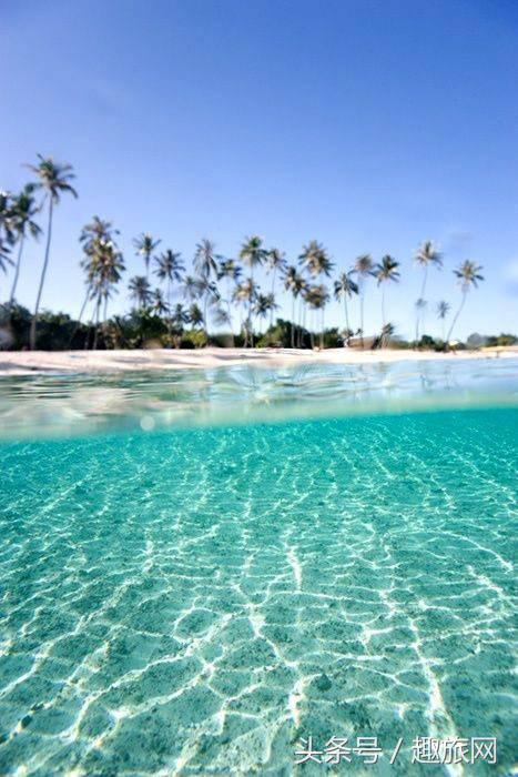 高更最后的大溪地,高更经历