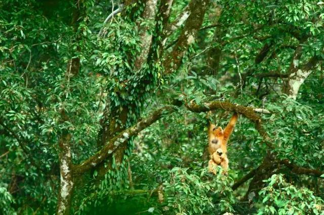 一个90后摄影师,一个90后的摄影师