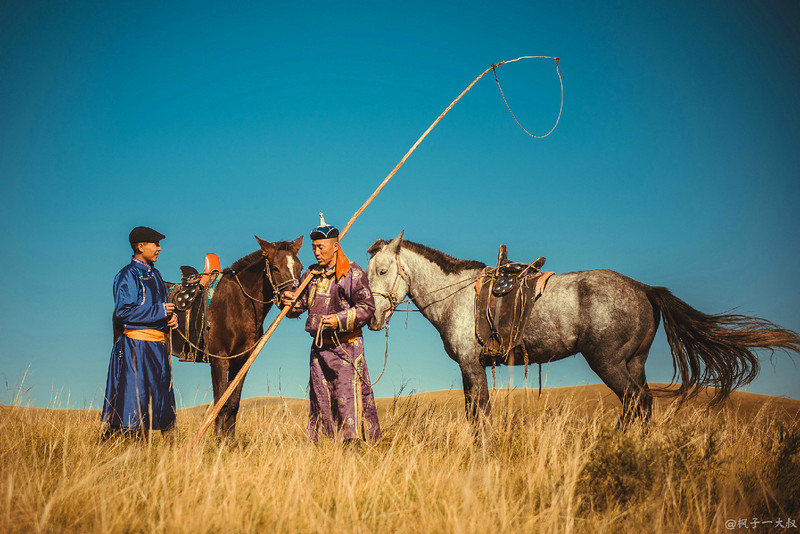 草原金秋美景图片,蓝天白云大草原的美图