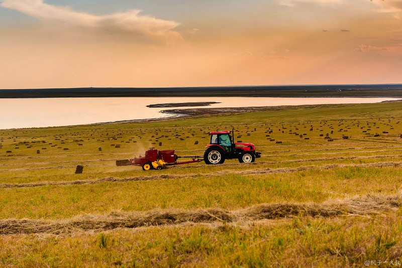 草原金秋美景图片,蓝天白云大草原的美图