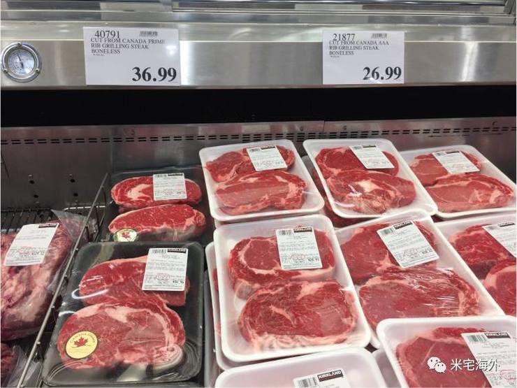 在温哥华生活有多惬意,在温哥华生活视频