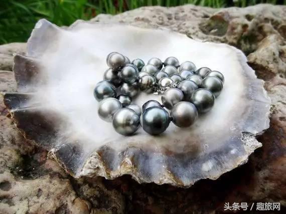 高更最后的大溪地,高更经历