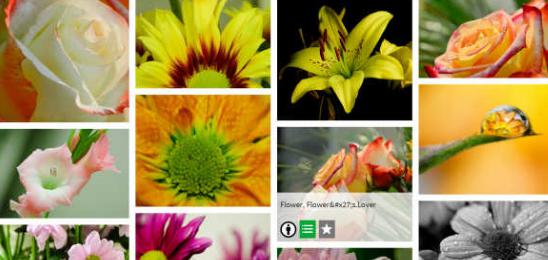 值得收藏的几个搜索网站，比百度更专业，老程序员推荐