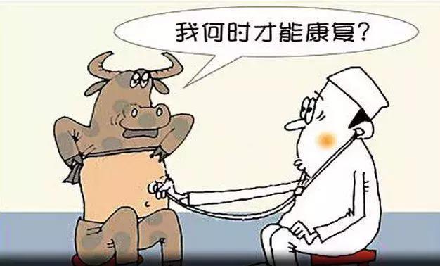 当你学会写文章之后可以这样赚钱,当你学会了炒股