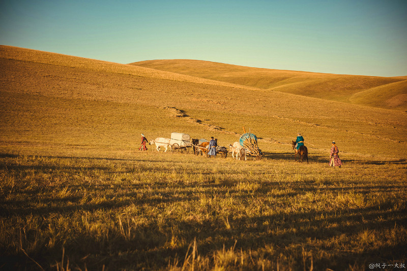 草原金秋美景图片,蓝天白云大草原的美图