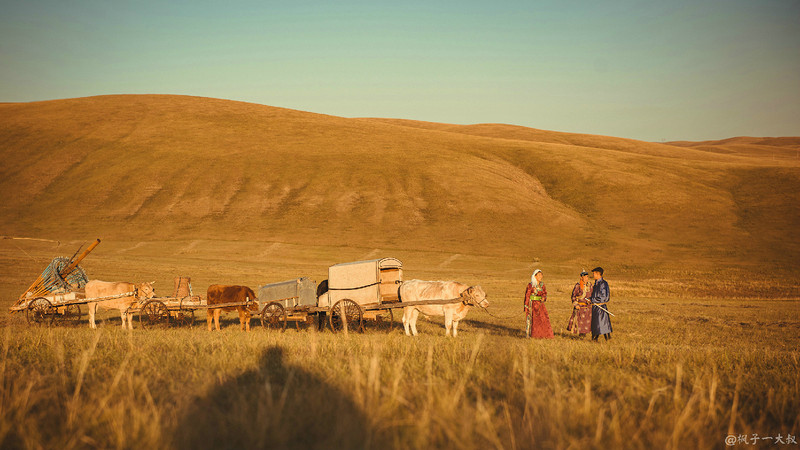 草原金秋美景图片,蓝天白云大草原的美图