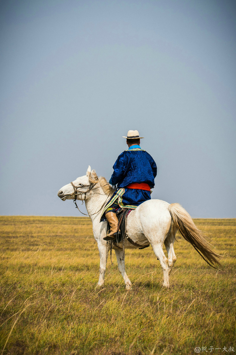 草原金秋美景图片,蓝天白云大草原的美图