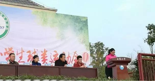 云溪00后“球星”都在这里!海量照片带你回顾云溪区2017年中小学生球类运动会!