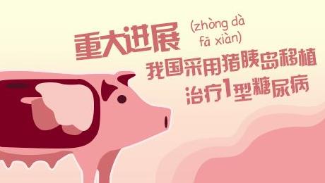 中国超半数成年人处糖尿病前期,1型糖尿病患者发病的重要病因