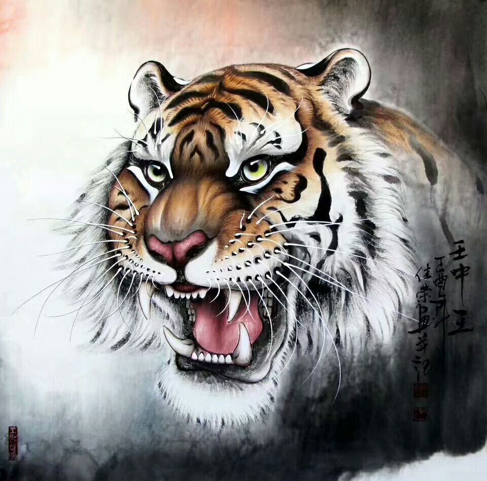 转角爱——军校的报考抉择