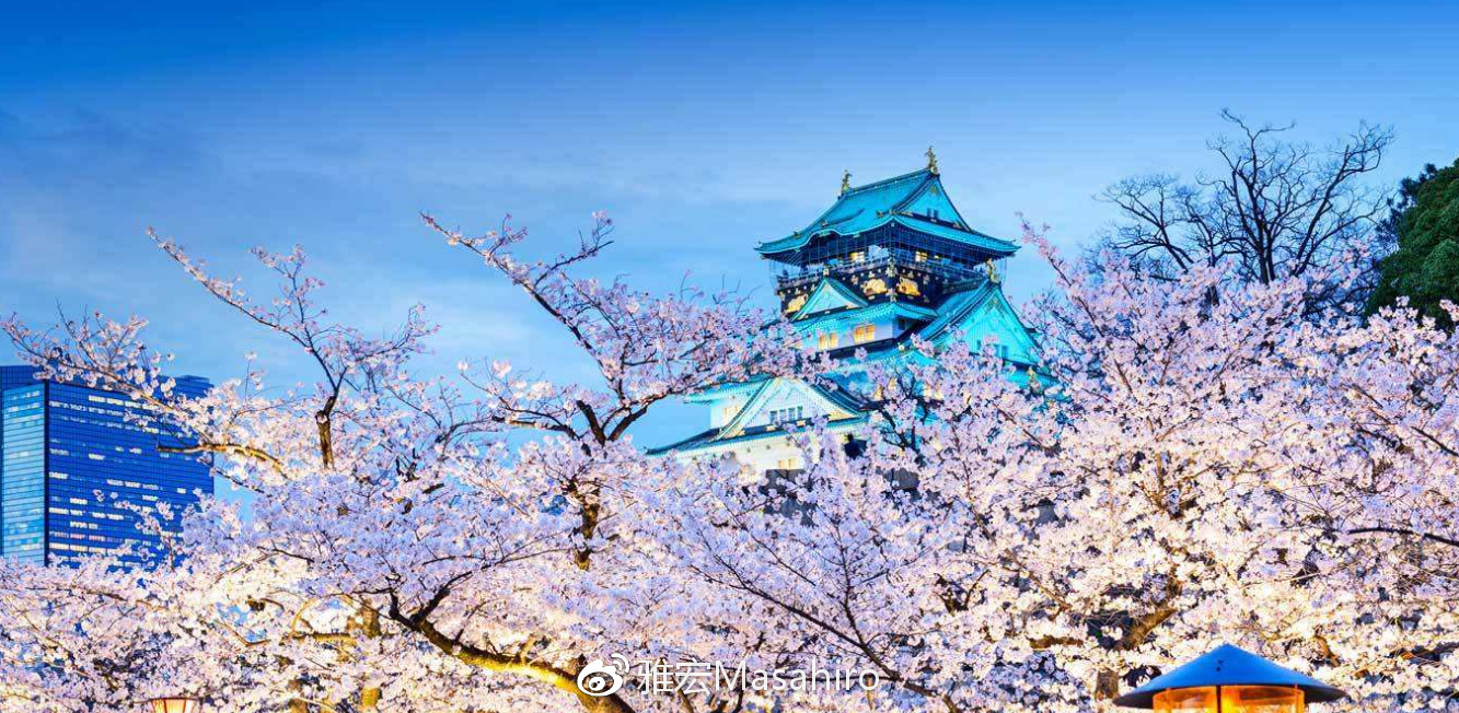 光看队名,我们就差了日本足球很多年