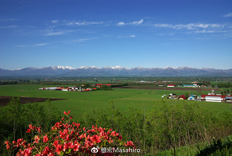 光看队名,我们就差了日本足球很多年