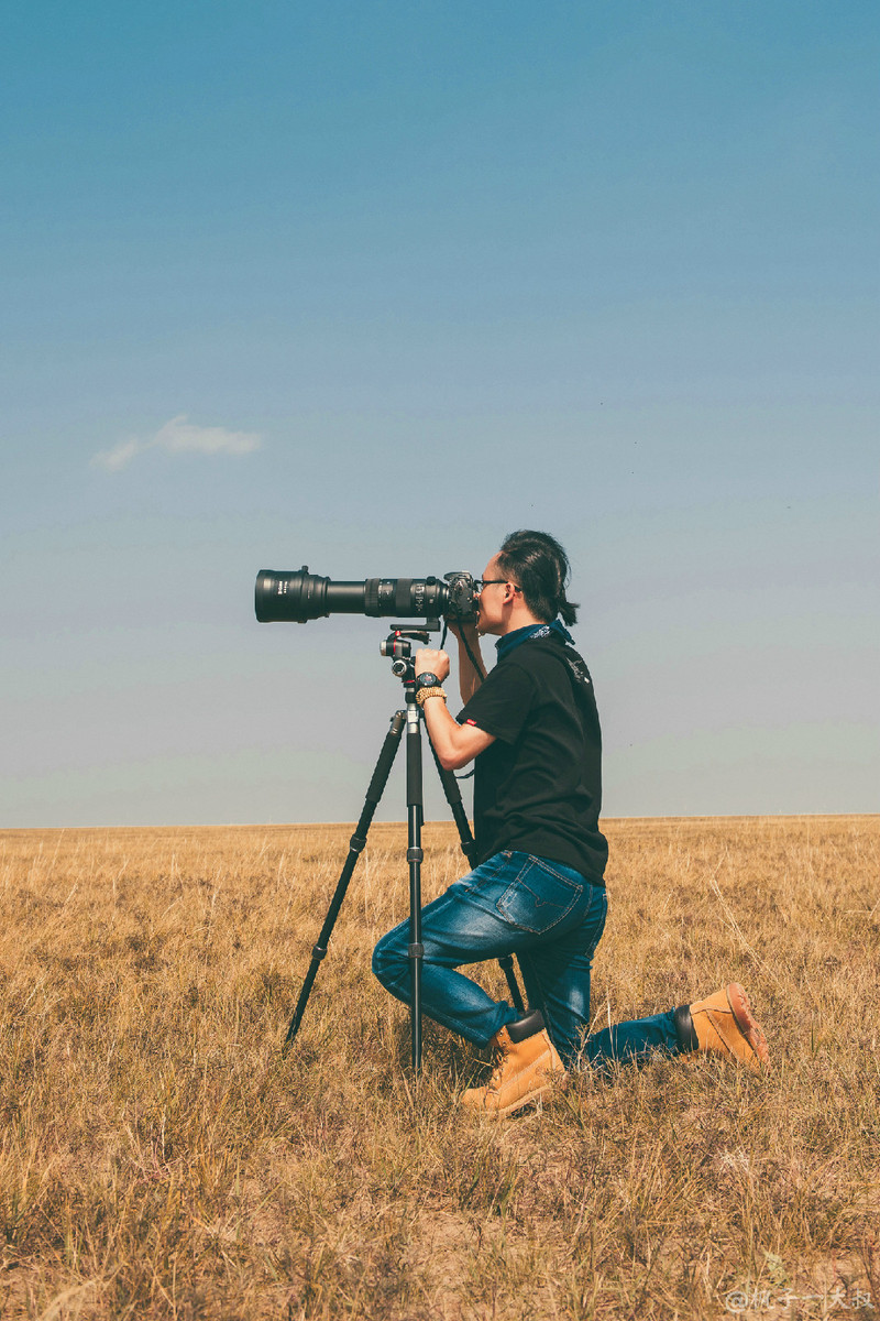 草原金秋美景图片,蓝天白云大草原的美图