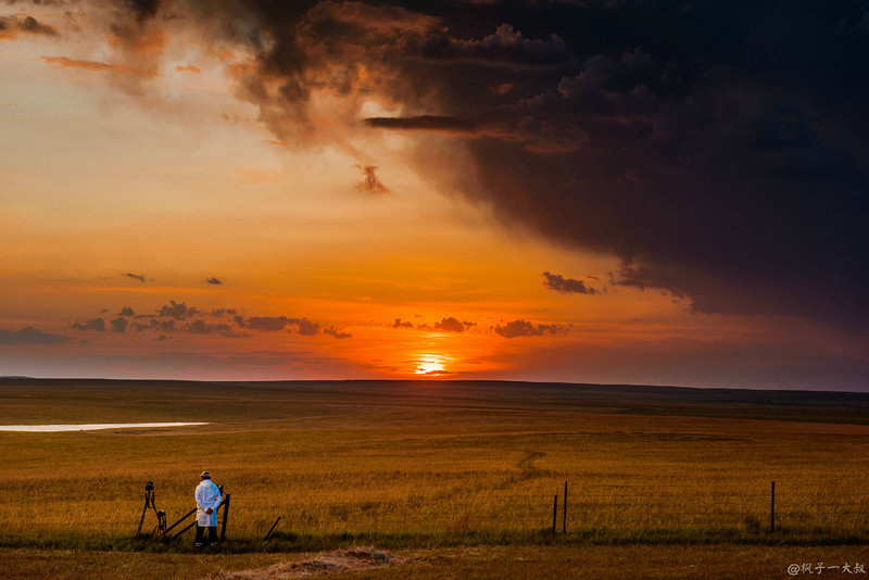草原金秋美景图片,蓝天白云大草原的美图