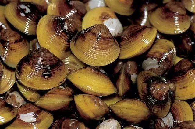 黄海之滨辽宁丹东,壮哉大辽宁