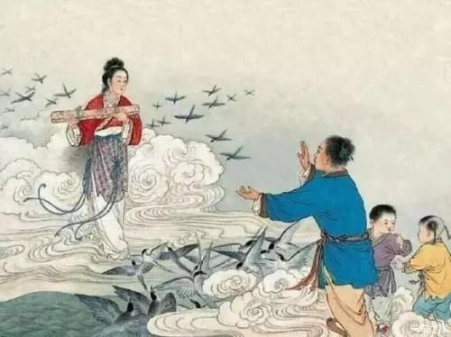 江南汉乐府的莲叶长什么样的,江南汉乐府鱼在莲叶间的情形